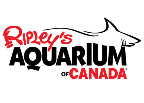 Ripley's Aquarium corporate events