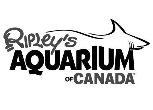 corporate event entertainment client ripley's aquarium of canada